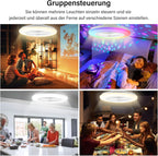 Deckenventilator Mit Beleuchtung, Smart RGB LED Fan Licht, φ50cm Deckenleuchte mit Ventilator, dimmbar, App und Fernbedienung, 6-Gang, 3 Farbtemperatur, Timer, Sommer/Wintermodus