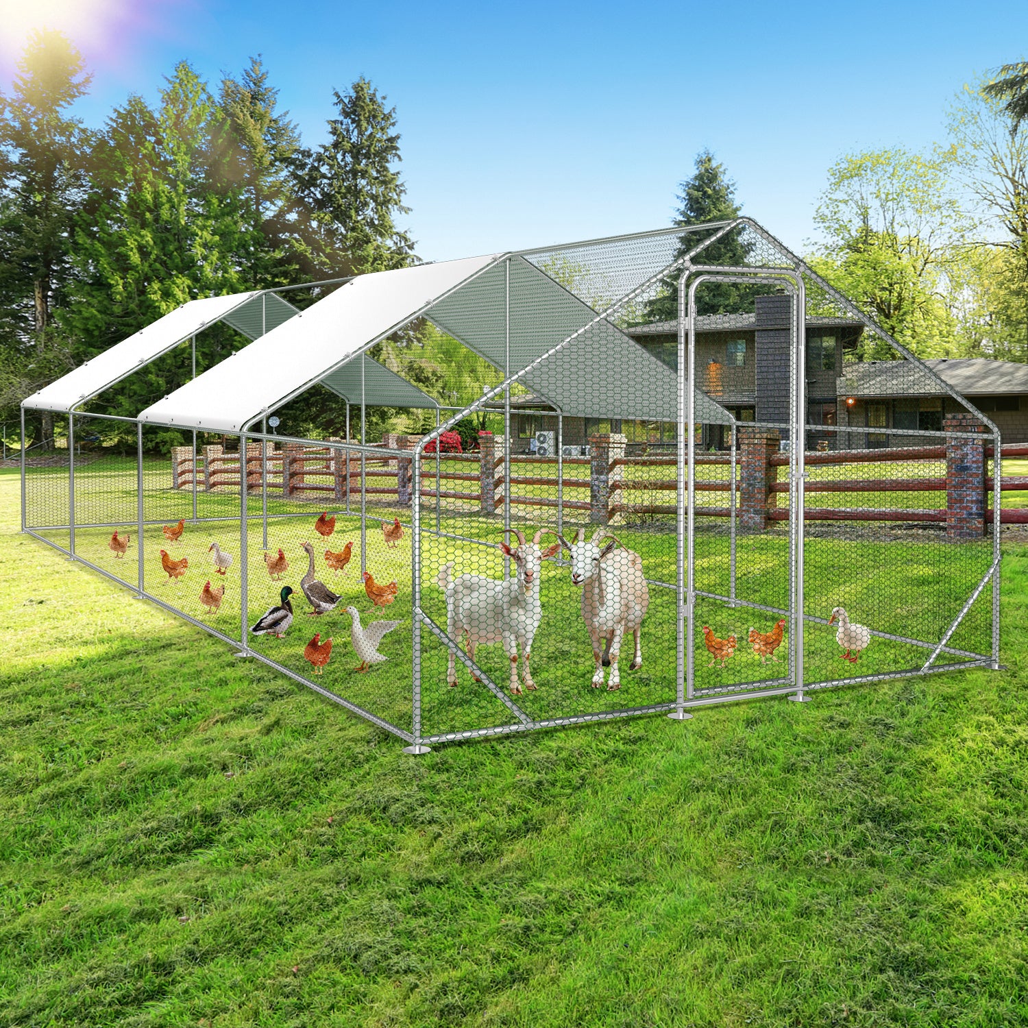 3 × 8 × 2 Meter großer Hühnerstall für den Außenbereich – Geflügelstall aus verzinktem Stahl mit Kuppeldach, geeignet für Hühner, Kaninchen, Gänse, Tauben und Wachteln, mit Metallzaun mit Maschen（副本）