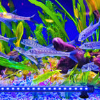 18-112cm LED Aquarium IP67 RGB Süßwasserfische Schildkröten Timing-Funktion