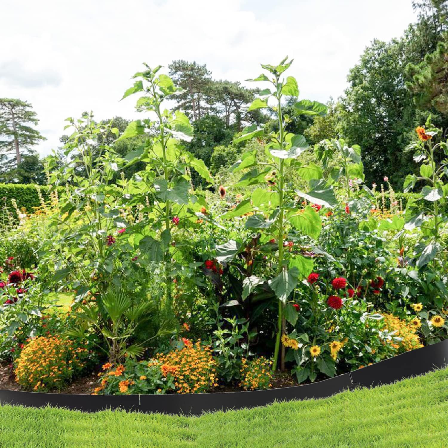 Rasenkante verzinkt Metall, 5m 10m 15m 20m 25m 30m 35m 40m 45m 50m 100x15cm Beeteinfassung Mähkante Palisade Gartenbeet, Silber oder Schwarz (Länge 5m - Höhe 15cm)