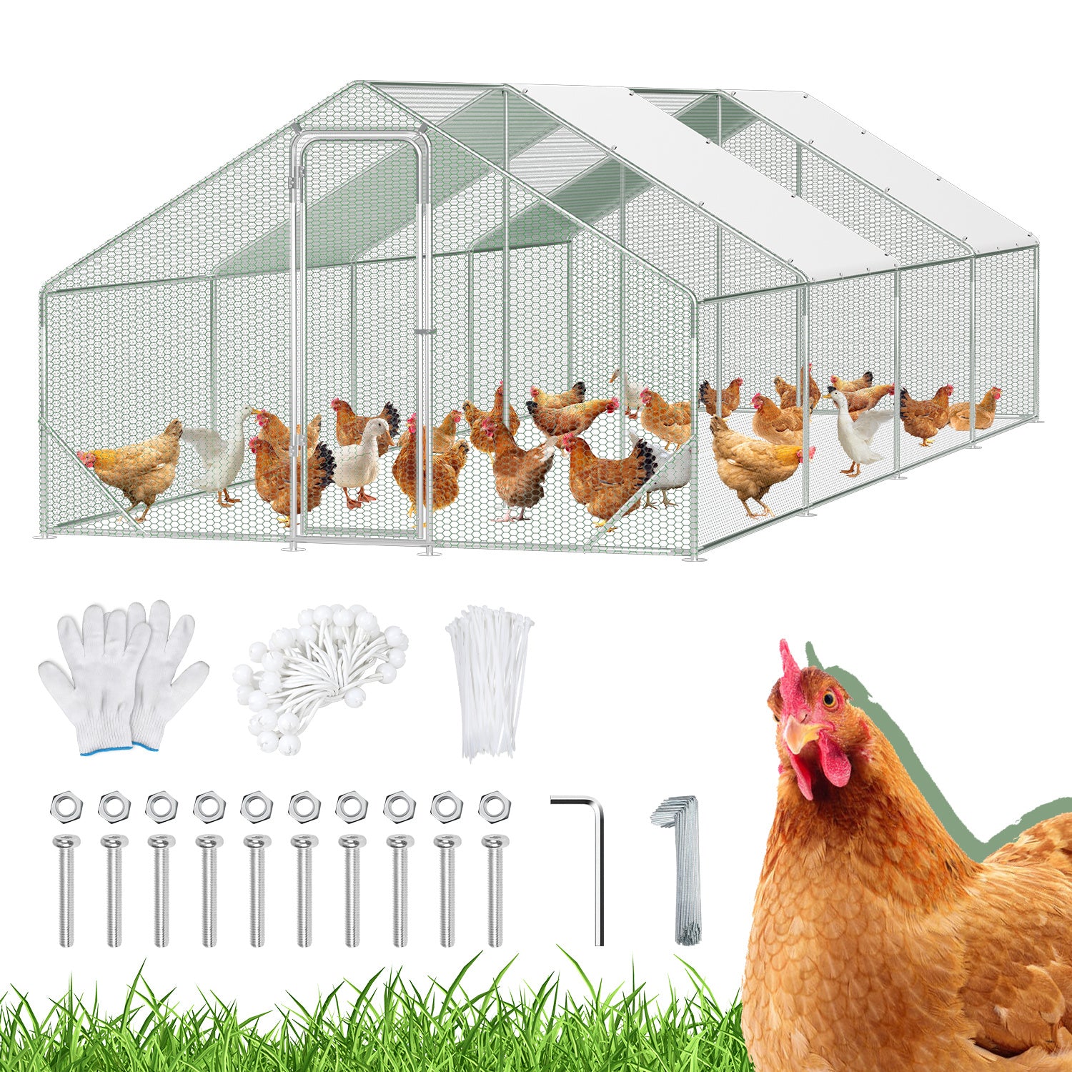 3 × 8 × 2 Meter großer Hühnerstall für den Außenbereich – Geflügelstall aus verzinktem Stahl mit Kuppeldach, geeignet für Hühner, Kaninchen, Gänse, Tauben und Wachteln, mit Metallzaun mit Maschen（副本）