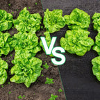 Unkrautvlies, extra stark, 100 g/m² – Das Unkrautvlies verhindert wirksam das Wachstum von Unkraut auf großen Flächen. Garten-Unkrautvlies mit wasserdurchlässigem Design, geeignet für Gärten, Hochbeete und Wege