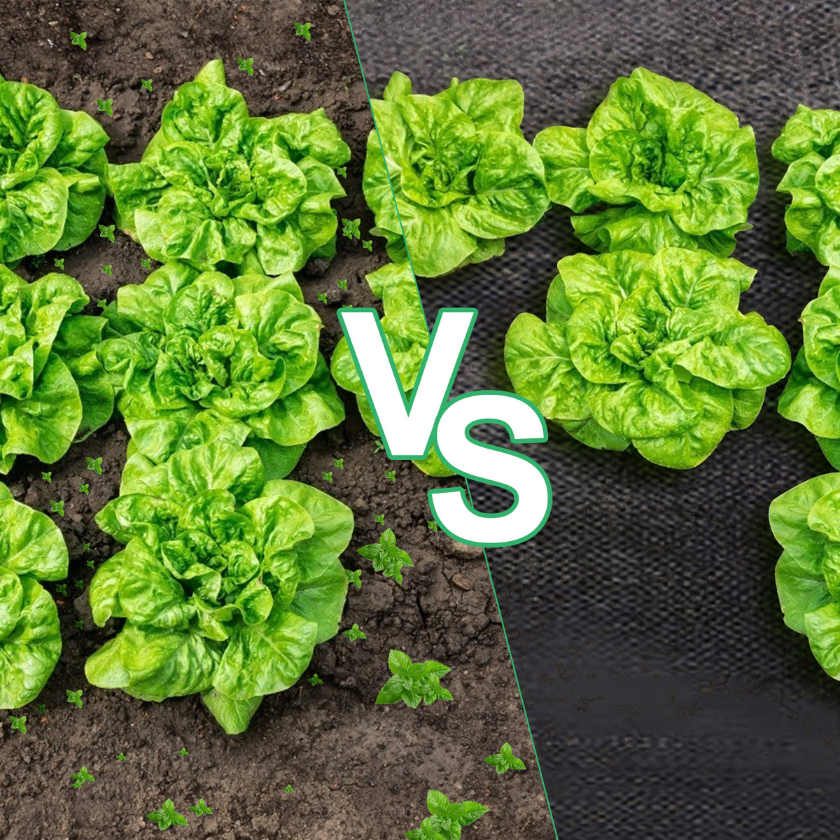 Unkrautvlies, extra stark, 100 g/m² – Das Unkrautvlies verhindert wirksam das Wachstum von Unkraut auf großen Flächen. Garten-Unkrautvlies mit wasserdurchlässigem Design, geeignet für Gärten, Hochbeete und Wege