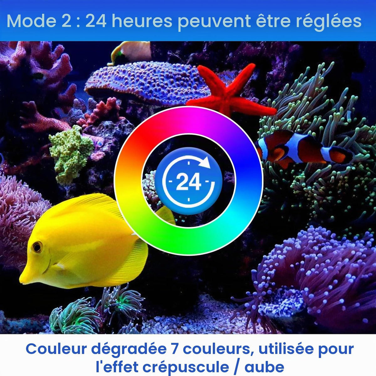 LED Aquarium Beleuchtung 55-150cm Süßwasserfische Vollspektrum Timer RGB Lampe