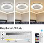 Deckenventilator Mit Beleuchtung, Smart RGB LED Fan Licht, φ50cm Deckenleuchte mit Ventilator, dimmbar, App und Fernbedienung, 6-Gang, 3 Farbtemperatur, Timer, Sommer/Wintermodus