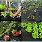 Unkrautvlies, extra stark, 100 g/m² – Das Unkrautvlies verhindert wirksam das Wachstum von Unkraut auf großen Flächen. Garten-Unkrautvlies mit wasserdurchlässigem Design, geeignet für Gärten, Hochbeete und Wege
