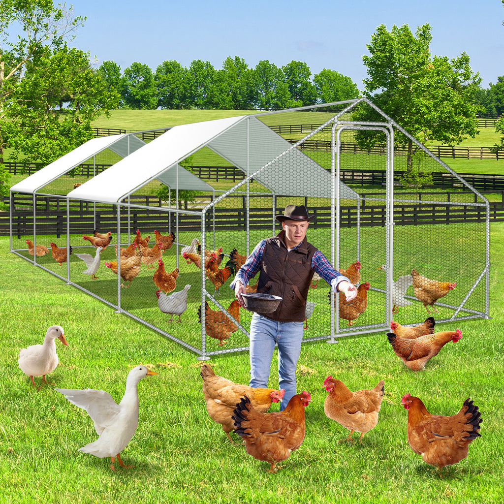 3 × 8 × 2 Meter großer Hühnerstall für den Außenbereich – Geflügelstall aus verzinktem Stahl mit Kuppeldach, geeignet für Hühner, Kaninchen, Gänse, Tauben und Wachteln, mit Metallzaun mit Maschen（副本）