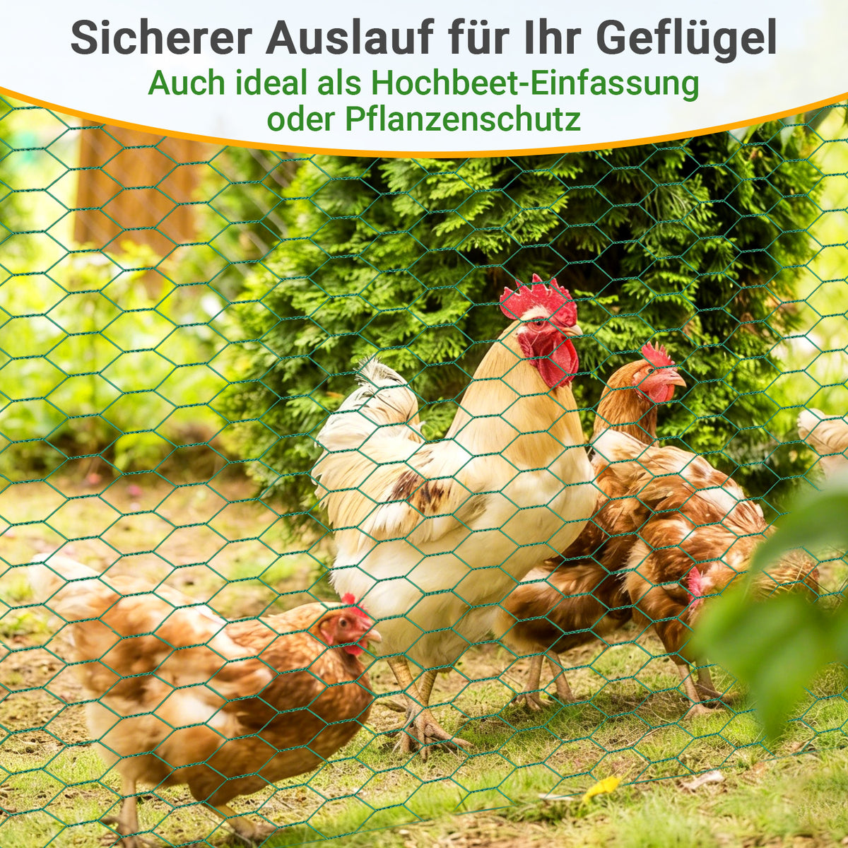 Sechseckgeflecht Maschendrahtzaun - Verzinkt mit Beschichtung, Kaninchendraht, Drahtzaun, Hasendraht - Sechseck Drahtgitter Maschenweite 27 mm, - Grün