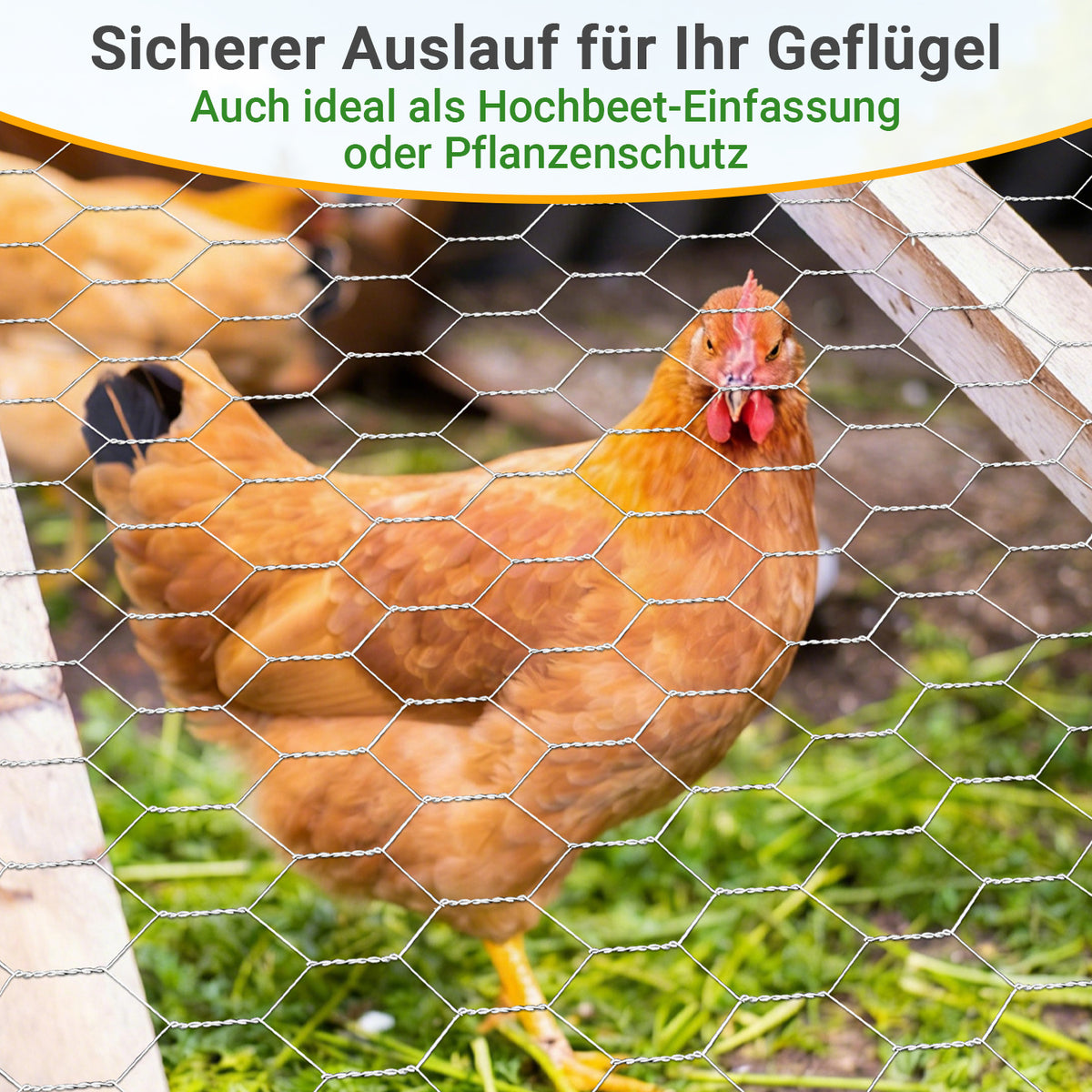 Sechseckgeflecht Maschendrahtzaun - Verzinkt Kaninchendraht, Drahtzaun, Hasendraht - Sechseck Drahtgitter Maschenweite 27 mm - Silbrig
