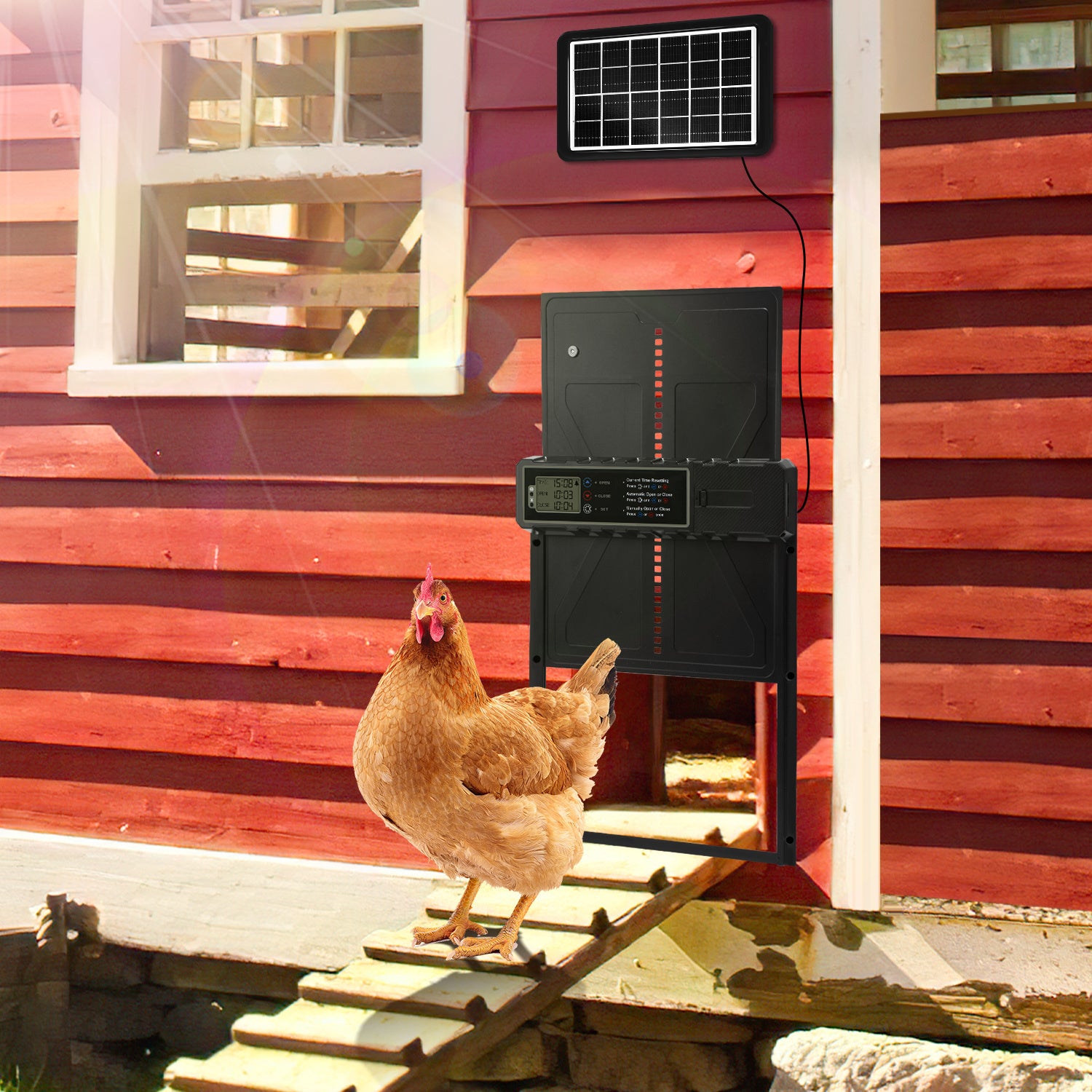 Automatisches Solartor für Hühnerställe mit LCD-Display und Fernbedienung | Elektrisches Hühnerstalltore mit Zeitschaltuhr, Hindernis-Stopp-Alarm, USB-C-Anschluss und Schutzklasse IPX4, geeignet für Hühnerställe, mit Einklemmschutz