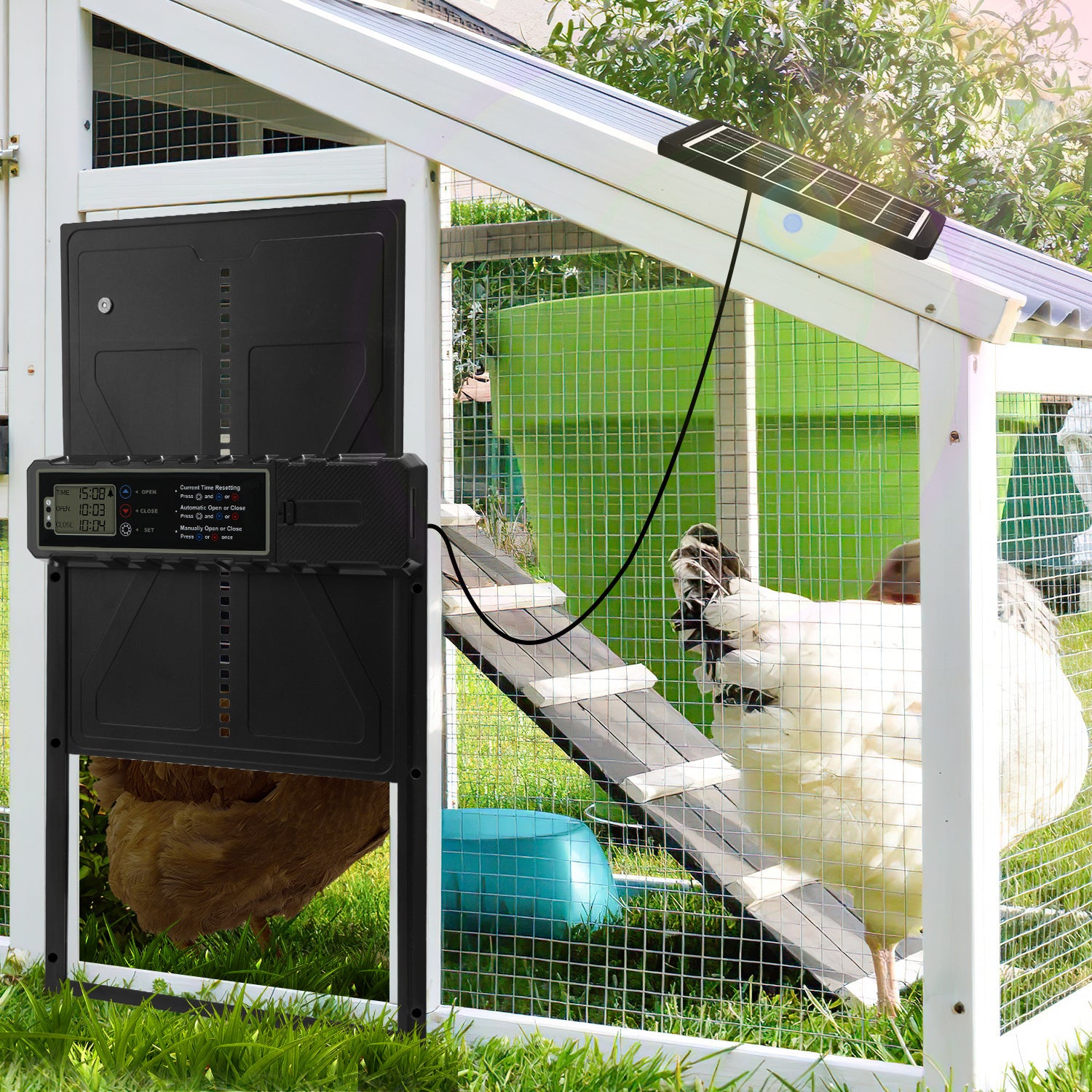 Automatisches Solartor für Hühnerställe mit LCD-Display und Fernbedienung | Elektrisches Hühnerstalltore mit Zeitschaltuhr, Hindernis-Stopp-Alarm, USB-C-Anschluss und Schutzklasse IPX4, geeignet für Hühnerställe, mit Einklemmschutz